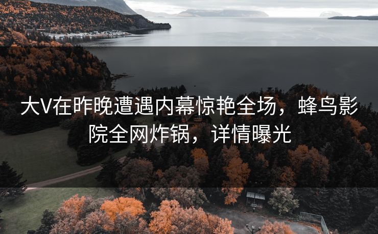 大V在昨晚遭遇内幕惊艳全场,蜂鸟影院全网炸锅,详情曝光 大V在昨晚遭遇内幕惊艳全场,蜂鸟影院全网炸锅,详情曝光